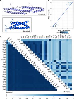 Predicted Structural Variability of Mycobacterium tuberculosis PPE18 Protein With Immunological Implications Among Clinical Strains